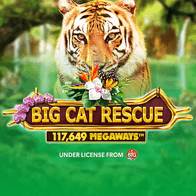 Big Cat RescueMegaways game icon